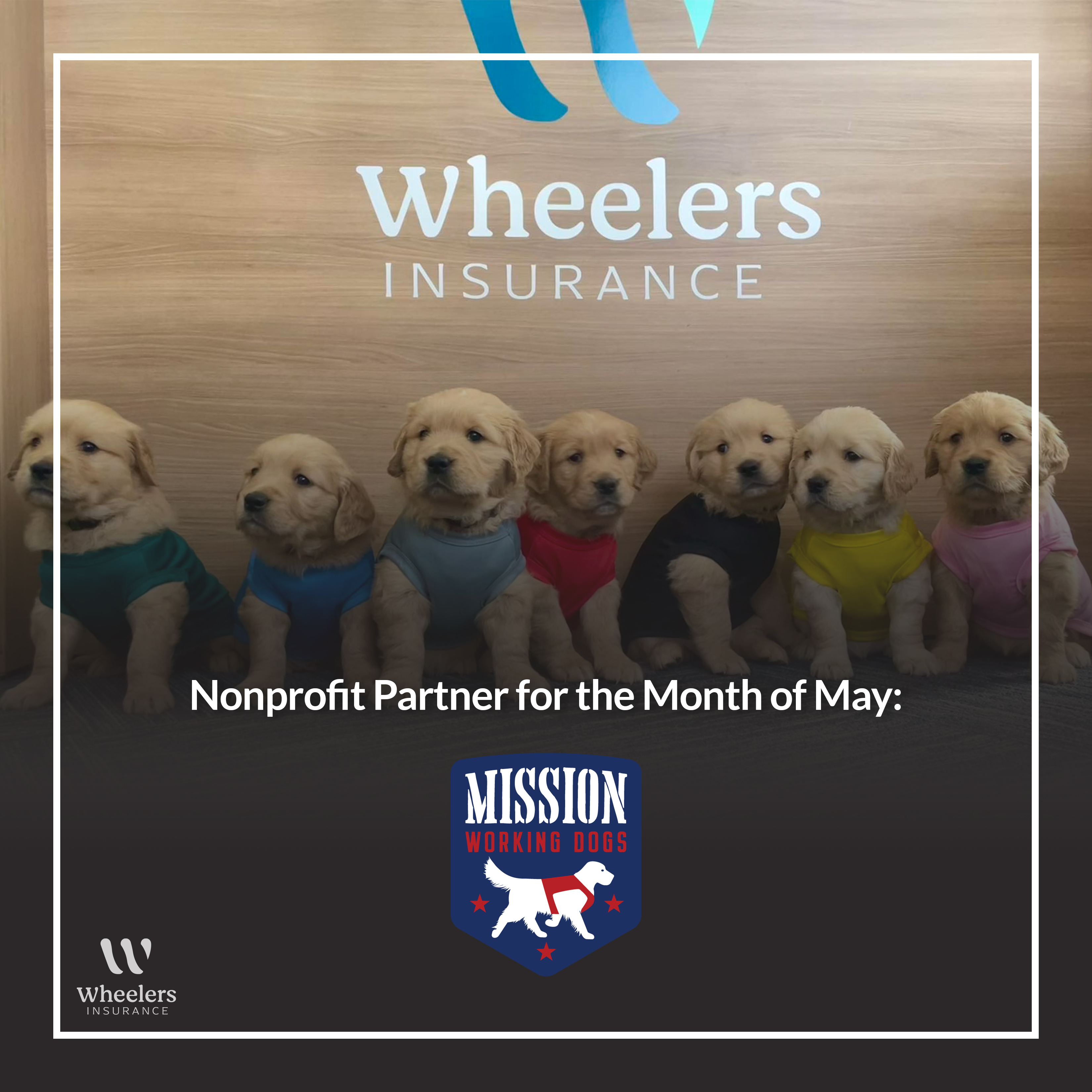 home insurance auto insurance health insurance business insurance