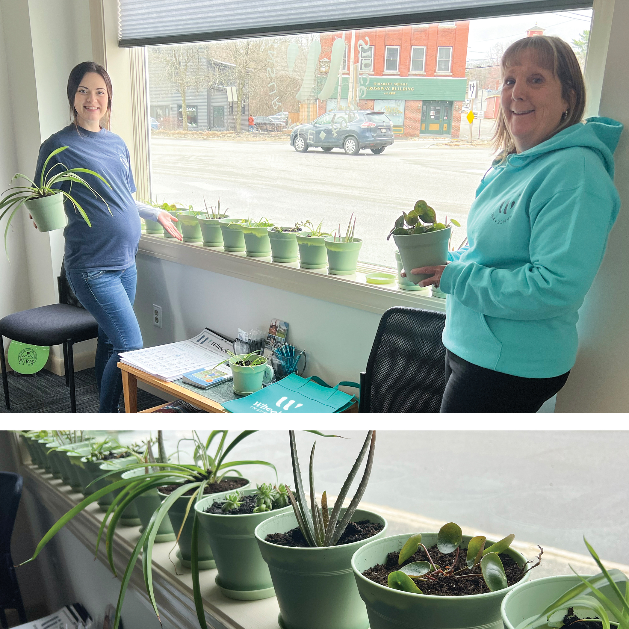 affordable insurance in maine